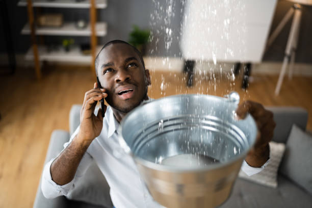 Best 24-hour water damage restoration  in Redwood Falls, MN