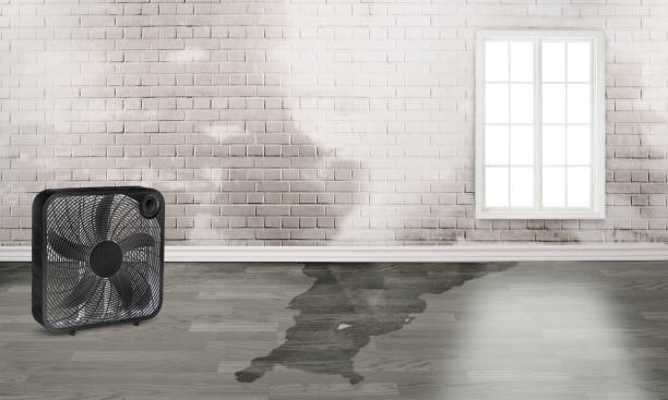 Best Residential water damage restoration  in Redwood Falls, MN