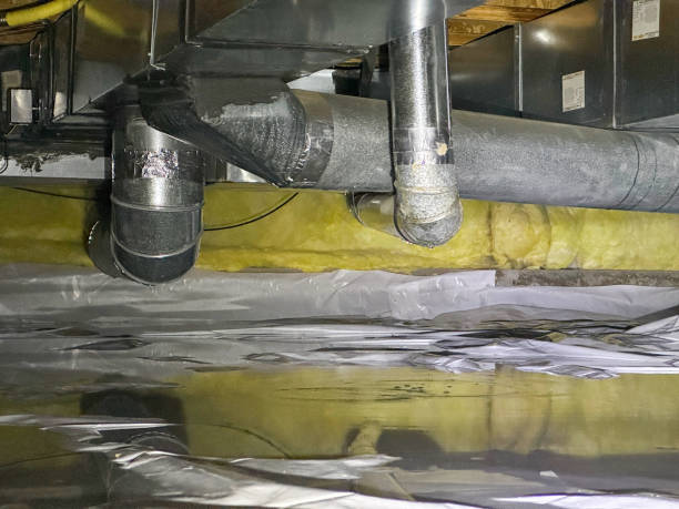Best Fire Damage Restoration  in Redwood Falls, MN
