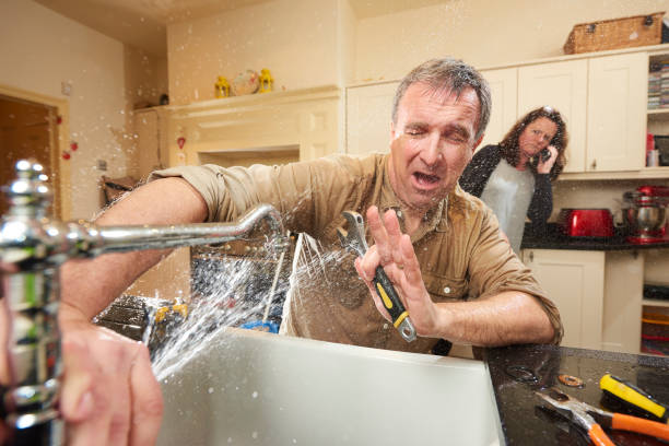 Best Carpet water damage restoration  in Redwood Falls, MN